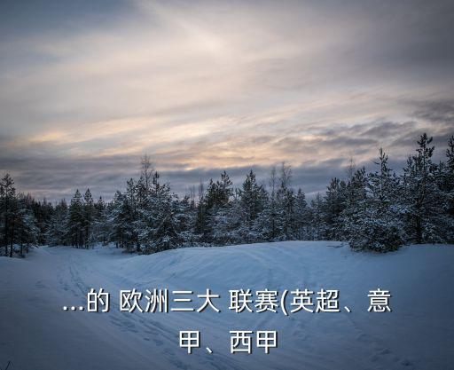 ...的 歐洲三大 聯(lián)賽(英超、意甲、西甲
