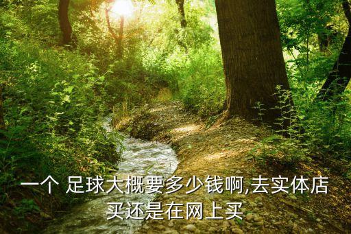 一個 足球大概要多少錢啊,去實(shí)體店買還是在網(wǎng)上買