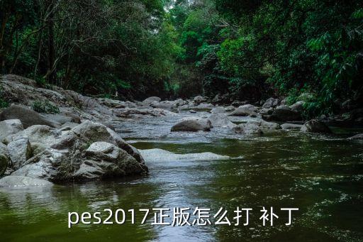 pes2017 補丁哪個好,武漢出現(xiàn)確診病例湖北首現(xiàn)病例