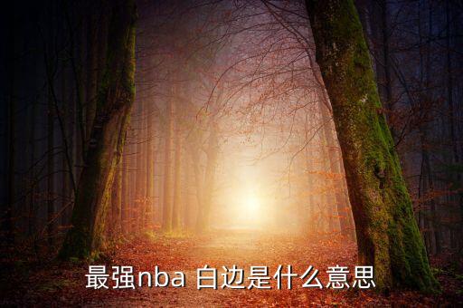 nba2k15白邊在哪個隊,我國籃球巨星白邊的職業(yè)生涯回顧