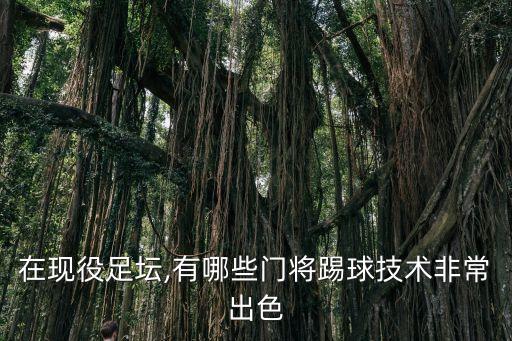 門神奧布拉克哪個(gè)國(guó)家的,足球史上最偉大門將是誰(shuí)啊?