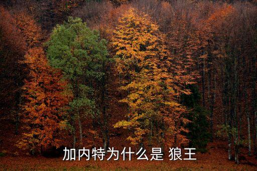 狼王加內(nèi)特是哪個(gè)隊(duì)的,狼王加內(nèi)特nba生涯首冠得主