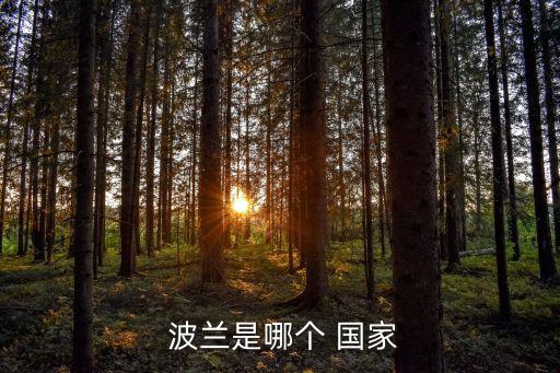 波蘭隊是哪個國家,我是a國家，波蘭是歐洲人國家