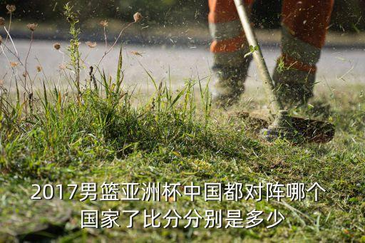 亞錦賽2017在哪個國家,乒乓球亞錦賽回顧