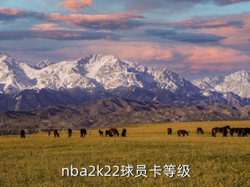 nba2哪個人物卡,關(guān)閉防火墻攔截游戲軟件或關(guān)閉病毒軟件