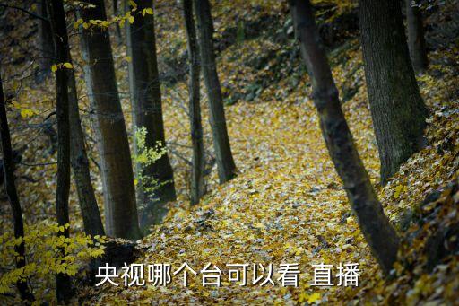 央視哪個臺可以看 直播