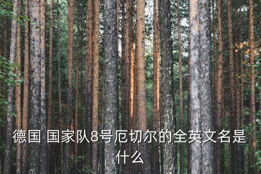 德國(guó) 國(guó)家隊(duì)8號(hào)厄切爾的全英文名是什么