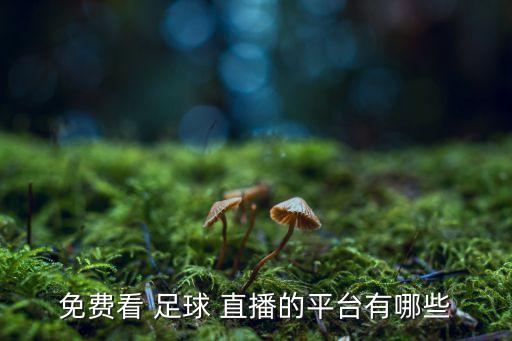 免費(fèi)看 足球 直播的平臺有哪些