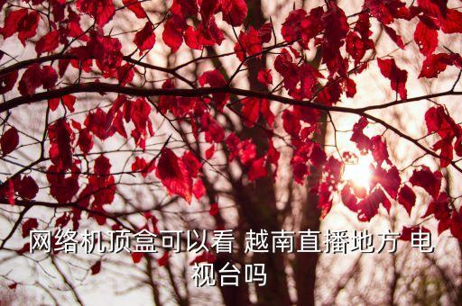 網(wǎng)絡(luò)機(jī)頂盒可以看 越南直播地方 電視臺(tái)嗎