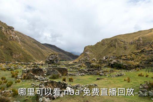哪個網(wǎng)站可以免費(fèi)看nba,nba全稱nba男子職業(yè)籃球聯(lián)賽