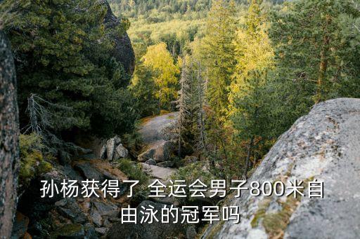  孫楊獲得了 全運(yùn)會(huì)男子800米自由泳的冠軍嗎