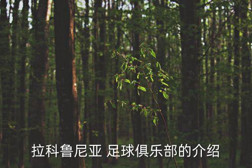 拉科魯尼亞 足球俱樂(lè)部的介紹