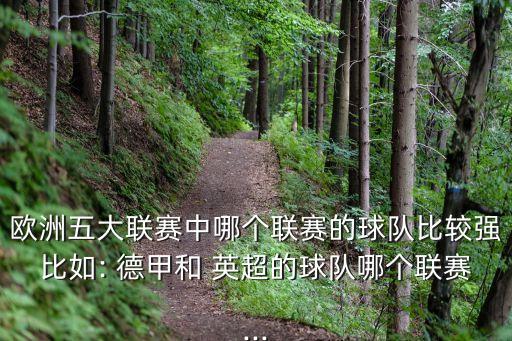 歐洲五大聯(lián)賽中哪個(gè)聯(lián)賽的球隊(duì)比較強(qiáng)比如: 德甲和 英超的球隊(duì)哪個(gè)聯(lián)賽...