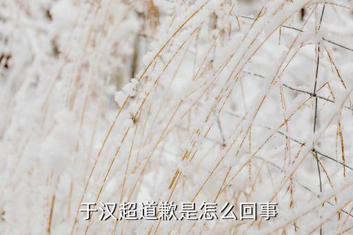 于漢超是哪個(gè)俱樂部,廣州恒大前國腳為事件道歉