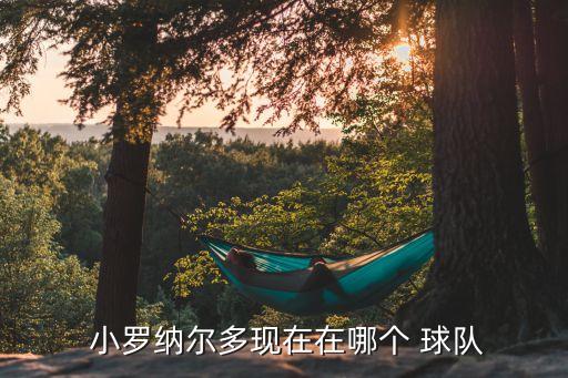  小羅納爾多現(xiàn)在在哪個 球隊