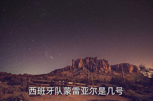 阿斯帕斯在哪個(gè)隊(duì),世界杯分組西班牙與葡萄牙、伊朗分在b組