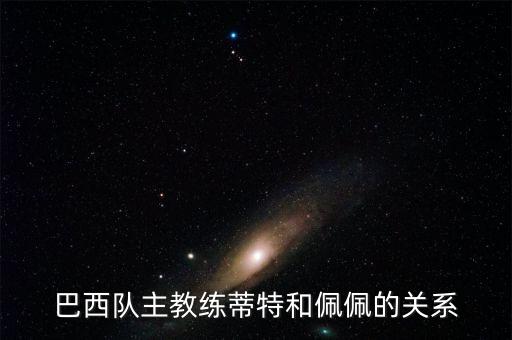 巴西隊主教練蒂特和佩佩的關系