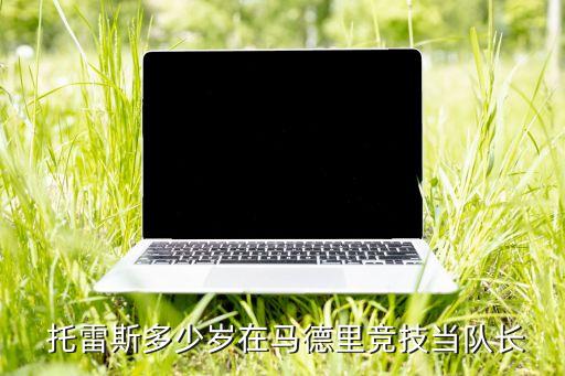 哪個賽季托雷斯,費爾南多-托雷斯個人簡介