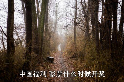 現(xiàn)在哪個(gè)彩票是官網(wǎng)開,中國(guó)體育彩票網(wǎng)直播彩票開獎(jiǎng)和直播