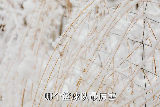 哪個(gè)籃球隊(duì)最厲害