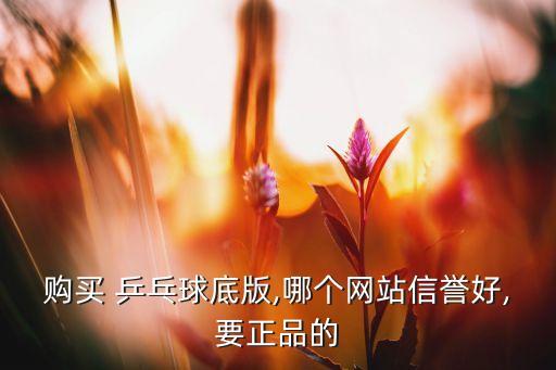 購買 乒乓球底版,哪個(gè)網(wǎng)站信譽(yù)好,要正品的