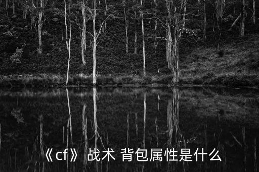 《cf》 戰(zhàn)術 背包屬性是什么