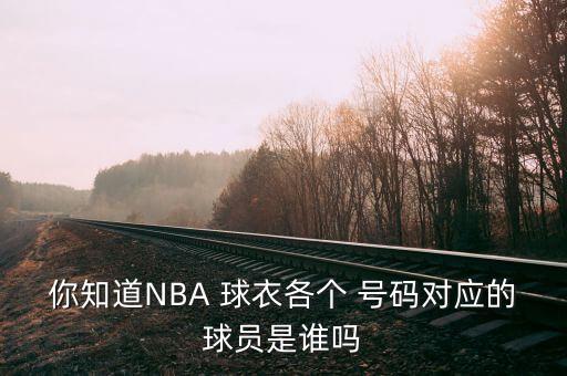 你知道NBA 球衣各個(gè) 號(hào)碼對(duì)應(yīng)的球員是誰(shuí)嗎