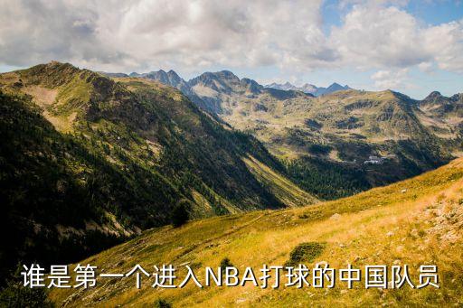 籃球進(jìn)去哪個的,打半場的中國球員有何不同?