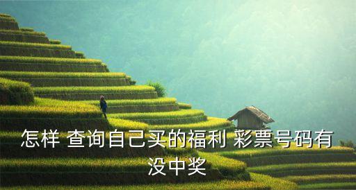 彩票哪個網(wǎng)址查詢開獎結果,彩票知多少?問與答（18）