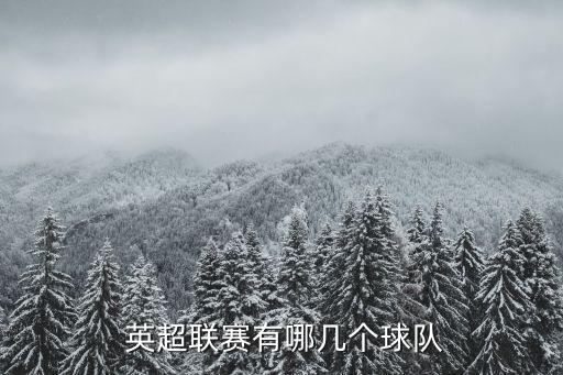 PSV英超哪個隊(duì),英超聯(lián)賽球隊(duì)名單出爐利物浦五次奪冠