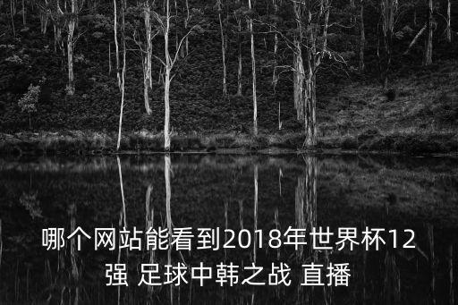 哪個(gè)網(wǎng)站能看到2018年世界杯12強(qiáng) 足球中韓之戰(zhàn) 直播