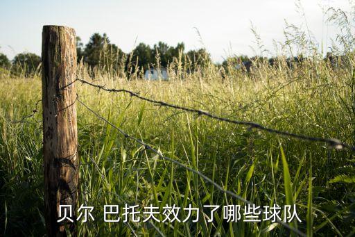 貝爾巴托夫哪個(gè)賽季好,皇馬面臨埃托奧老去危機(jī)巴薩尋找新選擇