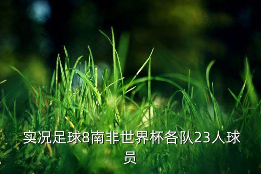  實(shí)況足球8南非世界杯各隊(duì)23人球員