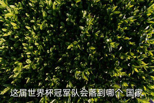 這屆世界杯冠軍隊(duì)會(huì)落到哪個(gè) 國家