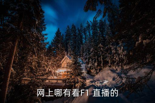 網(wǎng)上哪有看F1 直播的