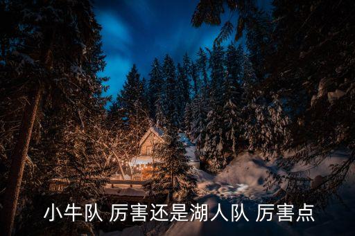  小牛隊(duì) 厲害還是湖人隊(duì) 厲害點(diǎn)