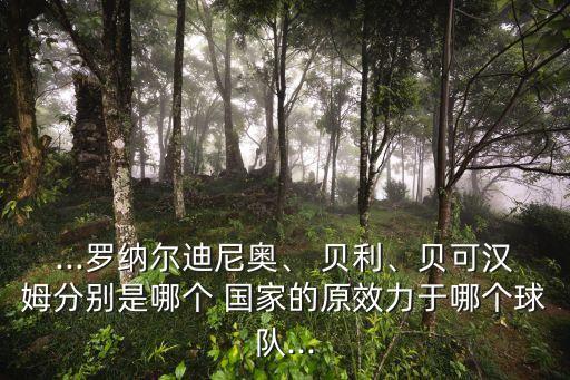 貝利是哪個國家的錢,巴西球王貝利入稟國際足聯(lián)授予球王稱號