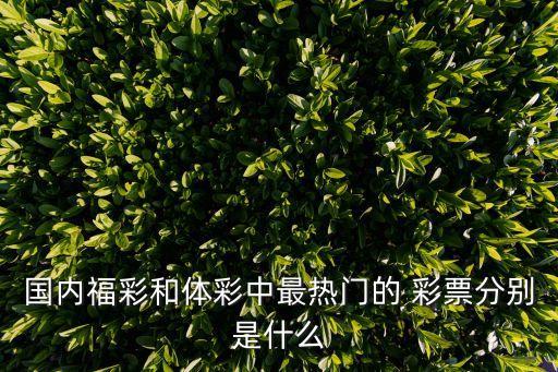 體育彩票和福利彩票哪個,彩票有何不同類型?