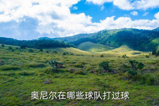 07年奧尼爾在哪個(gè)隊(duì),鯊魚(yú)奧尼爾退役