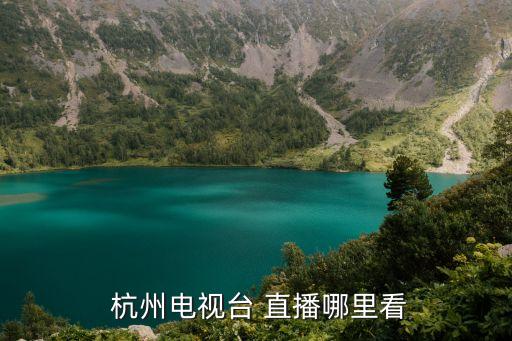 浙江哪個(gè)臺(tái)直播中甲杭州綠城,杭州電視臺(tái)直播或點(diǎn)擊直播