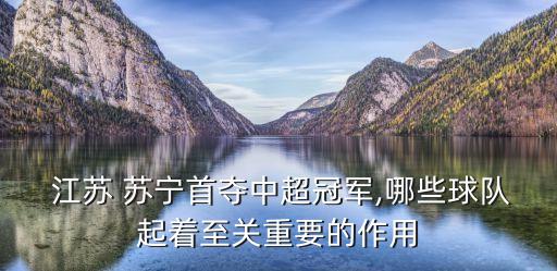  江蘇 蘇寧首奪中超冠軍,哪些球隊起著至關重要的作用