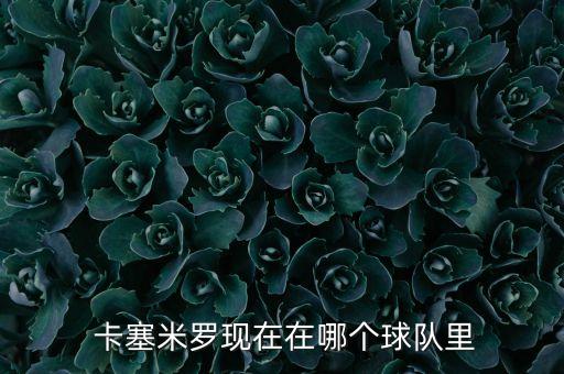  卡塞米羅現(xiàn)在在哪個球隊里
