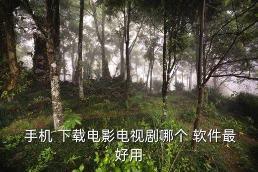 手機足彩哪個軟件下載,手機版炒股軟件最好