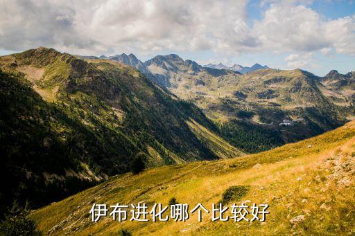 11伊布和15伊布哪個好,本地最強火鍋黨和伊布斗法
