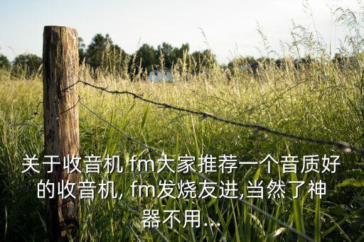dzm fm哪個好,fm術(shù)語:調(diào)頻調(diào)制；短波中波