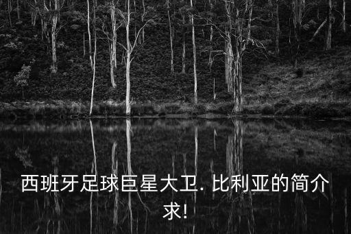 比利亞在哪個(gè)隊(duì),足壇消息:比利亞600萬歐元轉(zhuǎn)會(huì)巴塞羅那