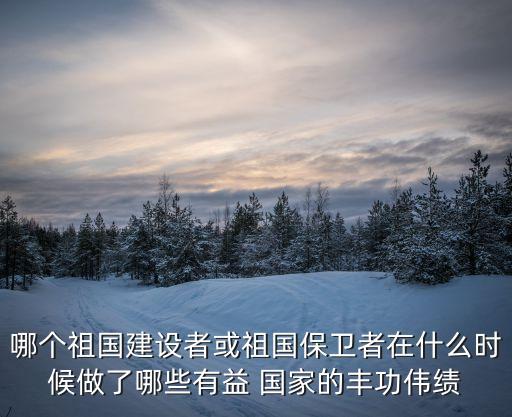 哪個(gè)祖國建設(shè)者或祖國保衛(wèi)者在什么時(shí)候做了哪些有益 國家的豐功偉績