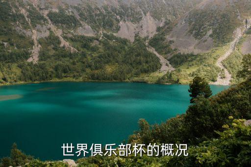 世界俱樂部杯的概況