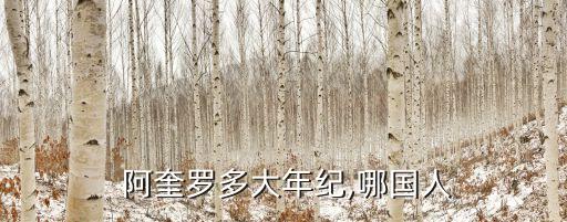 阿奎羅哪個(gè)國家的,阿圭羅轉(zhuǎn)會曼城開始職業(yè)生涯巔峰