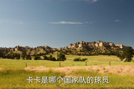  卡卡是哪個(gè)國(guó)家隊(duì)的球員